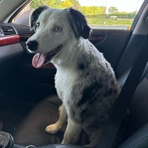 Meet your Posher, Prudence